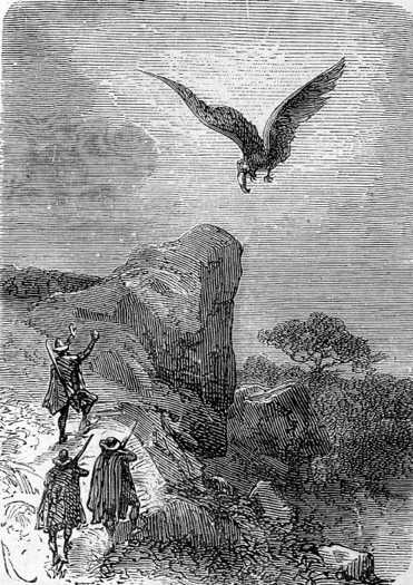 The condor’s spiral path was converging on an inaccessible crag