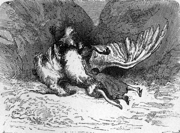 It had not let go of its prey