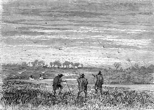 Overhead, hundreds of birds were chasing each other around the sky, rending the air with their shrieks