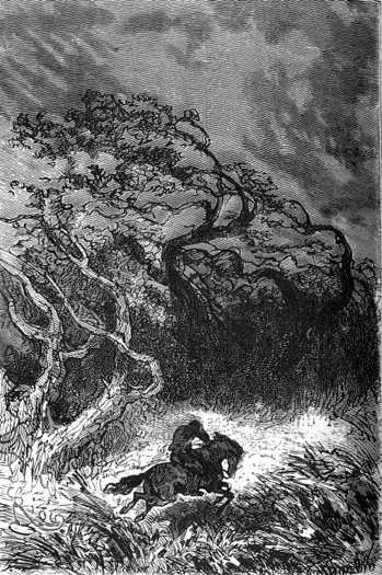 The gusts of wind redoubled their violence