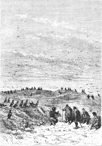 The colonists advanced prudently.