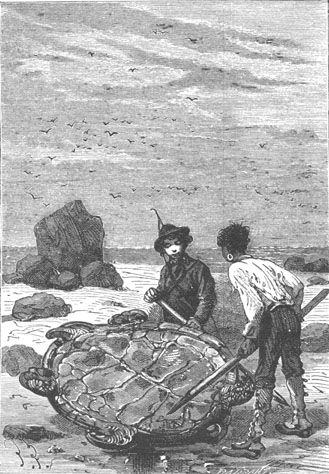 “This will make friend Pencroff happy.”