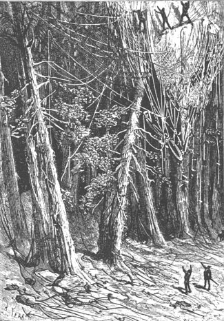 The operation lasted nearly two hours.