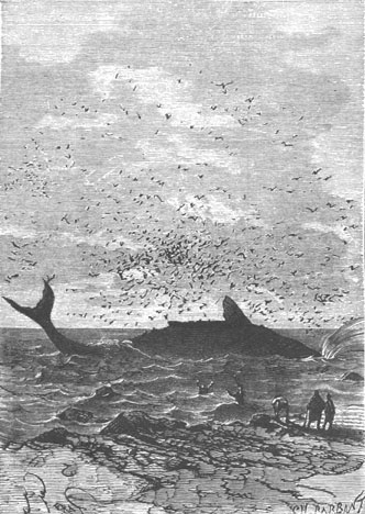 “What a monster,” cried Neb.