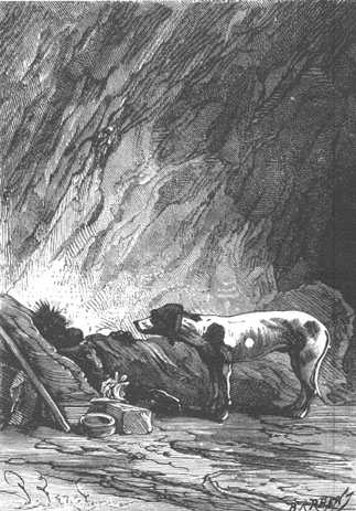 Top came to visit his friend.