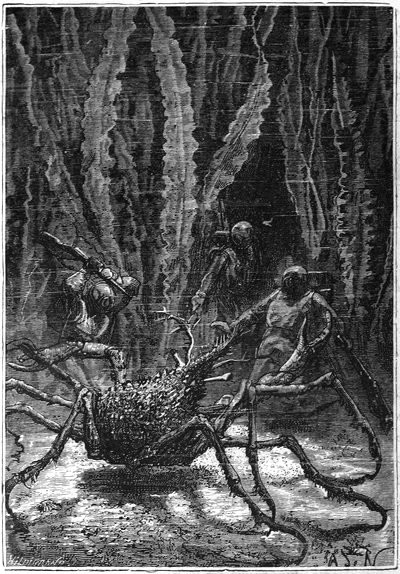 A monstrous, meter-high sea spider