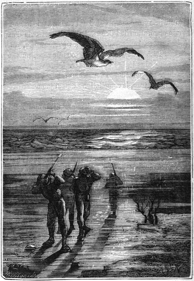 A large bird … approached and hovered over us