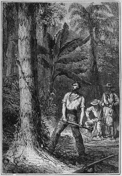 Ned Land wielded his ax with great vigor