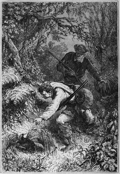 It was a “great emerald,” one of the rarest birds of paradise