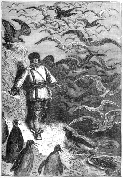 Birds flew and fluttered by the thousands