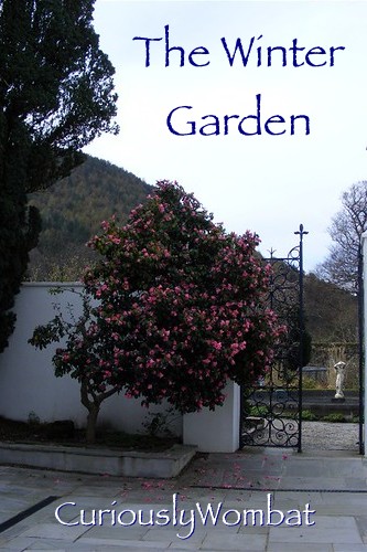 In the Winter Garden ePub