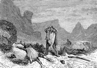 037.jpg