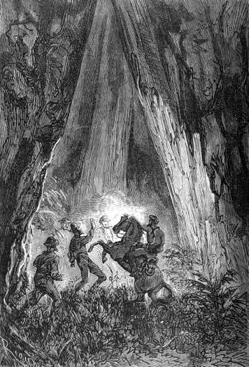 Five men threw themselves at the horse’s head
