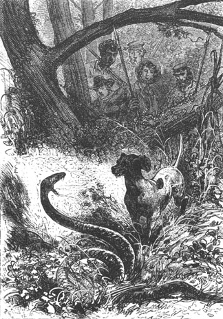 Top stopped in front of a serpent.