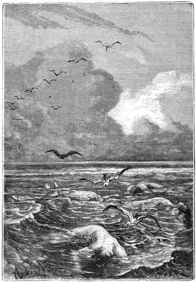 Human corpses floated on the surface of the waves!