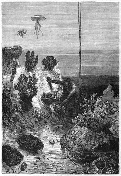 Fishing sponges